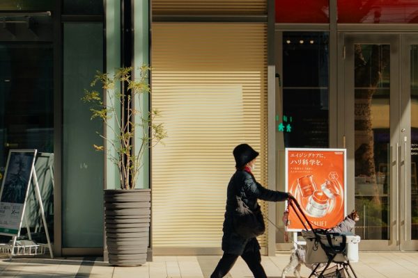 the holistic health handbook unlock your best self