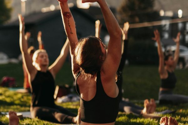 the holistic health handbook unlock your best self naturally