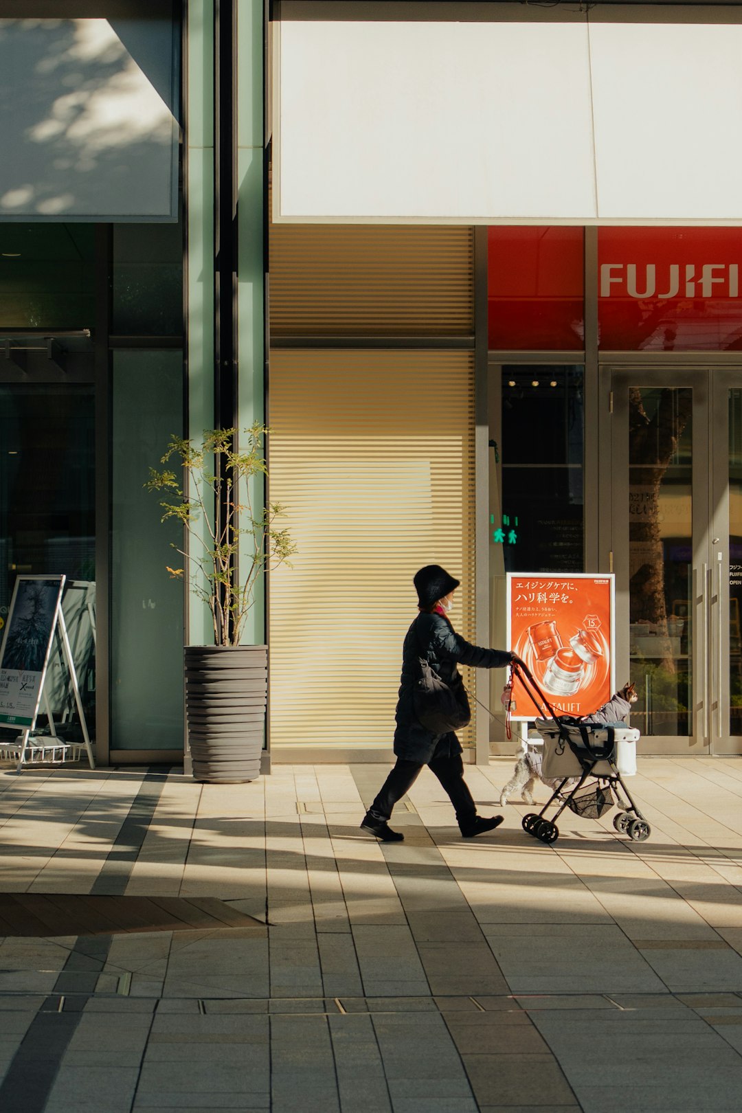 the holistic health handbook unlock your best self